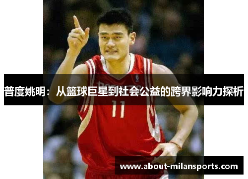 普度姚明：从篮球巨星到社会公益的跨界影响力探析