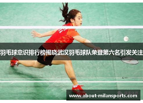 羽毛球意识排行榜揭晓武汉羽毛球队荣登第六名引发关注
