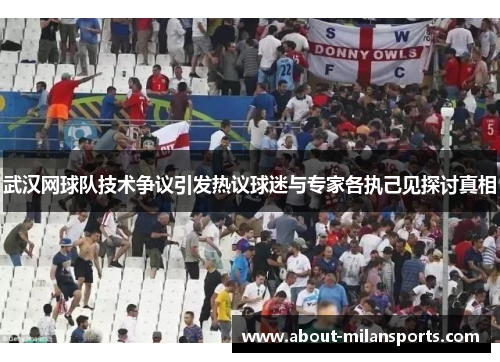 武汉网球队技术争议引发热议球迷与专家各执己见探讨真相